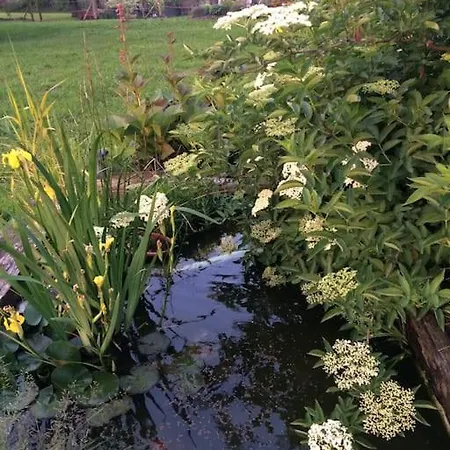 Le De Mamou, Grande Capacite Proche De Strasbourg Uhlwiller