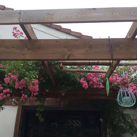 Le De Mamou, Grande Capacite Proche De Strasbourg