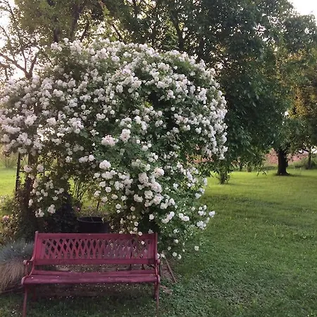 Casa de Férias Le De Mamou, Grande Capacite Proche De Strasbourg