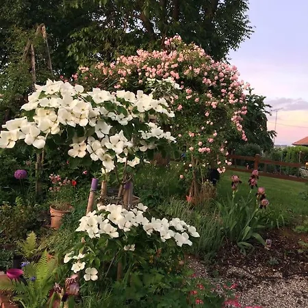 Casa de Férias Le De Mamou, Grande Capacite Proche De Strasbourg Uhlwiller
