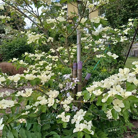 Le De Mamou, Grande Capacite Proche De Strasbourg * Uhlwiller